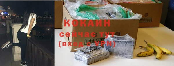 дживик Абаза