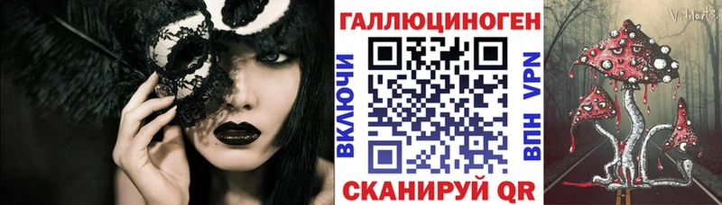 наркотики  Петров Вал  Псилоцибиновые грибы Psilocybe 
